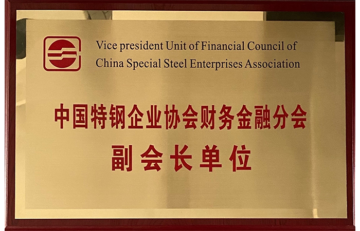 Vizepräsident der Finanzeinheit und Finanzzweig der China Special Steel Enterprise Association